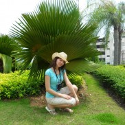 Ане понравилась эта пальма и я решил ее сфоткать с ней